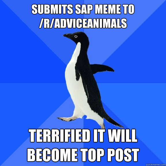 submits SAP meme to /r/adviceanimals terrified it will become top post  Socially Awkward Penguin