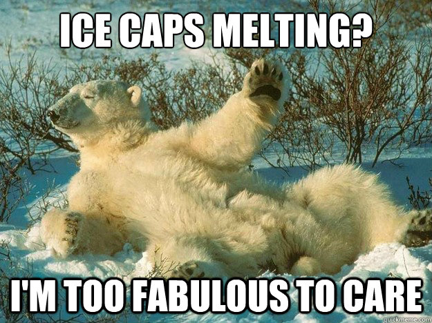 ice caps melting? i'm too fabulous to care - ice caps melting? i'm too fabulous to care  Fabulous Polar Bear