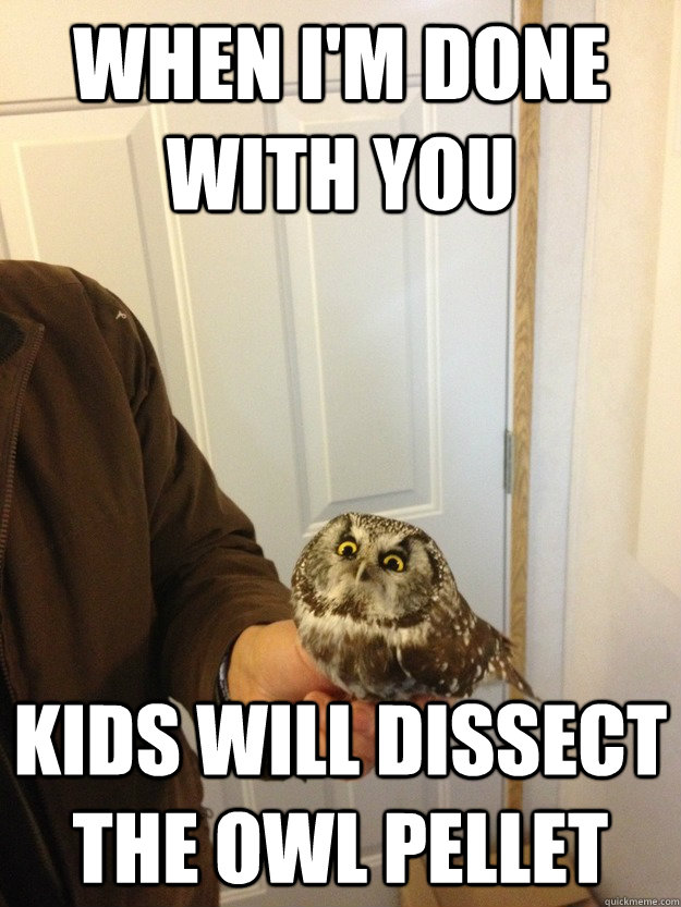 when i'm done with you kids will dissect the owl pellet  
