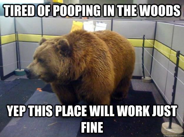 Tired Of pooping in the woods Yep this place will work just fine  Office Grizzly