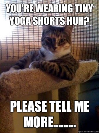 You're wearing tiny yoga shorts huh? Please tell me more.........  The Most Interesting Cat in the World