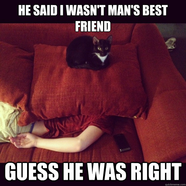 He said i wasn't man's best friend guess he was right  jealous cat