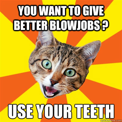 you Want to give better blowjobs ? Use your teeth  Bad Advice Cat