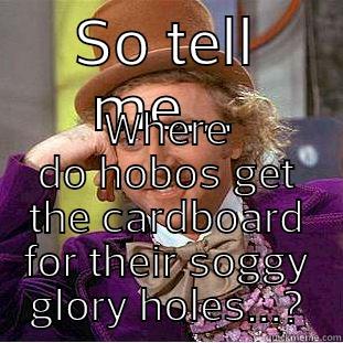 SO TELL ME... WHERE DO HOBOS GET THE CARDBOARD FOR THEIR SOGGY GLORY HOLES...? Condescending Wonka