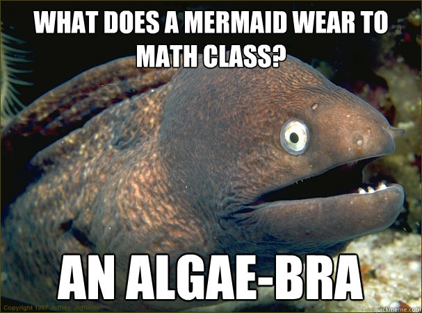 What does a mermaid wear to math class? An algae-bra  Bad Joke Eel