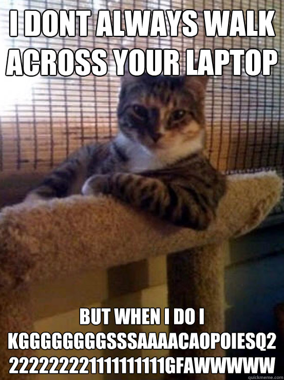 i dont always walk across your laptop but when i do i kggggggggsssaaaacaopoiesq2222222221111111111gfawwwww  The Most Interesting Cat in the World