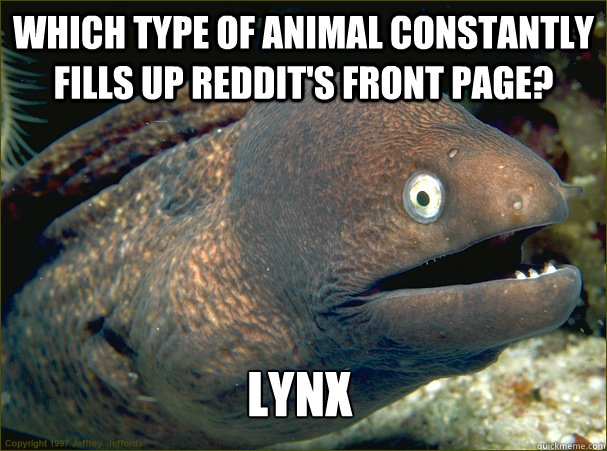 Which type of animal constantly fills up reddit's front page? lynx  Bad Joke Eel