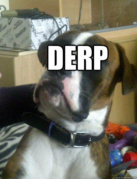 derp  Baffled boxer