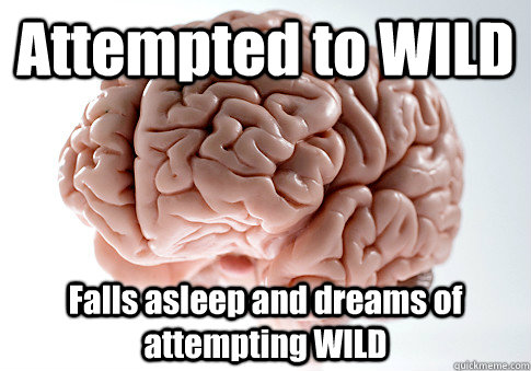 Attempted to WILD Falls asleep and dreams of attempting WILD - Attempted to WILD Falls asleep and dreams of attempting WILD  Scumbag Brain