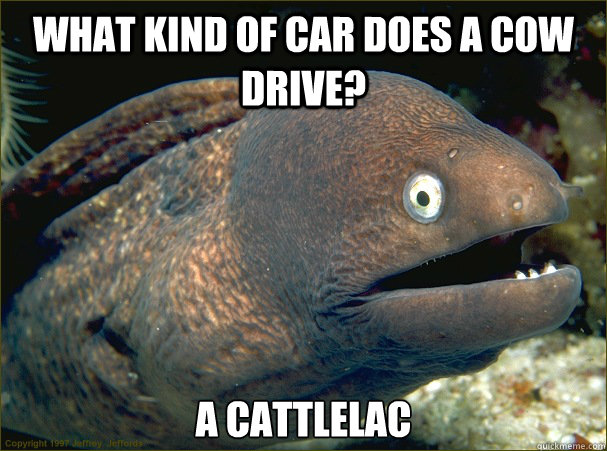 what kind of car does a cow drive? a cattlelac  Bad Joke Eel