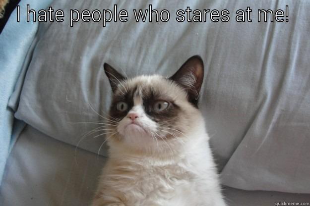funny cat boss - I HATE PEOPLE WHO STARES AT ME!  Grumpy Cat