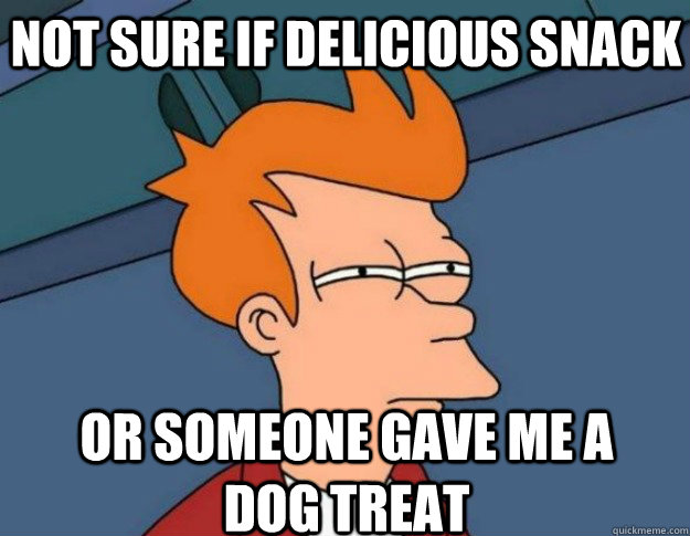 Not sure if delicious snack Or someone gave me a dog treat  NOT SURE IF IM HUNGRY or JUST BORED