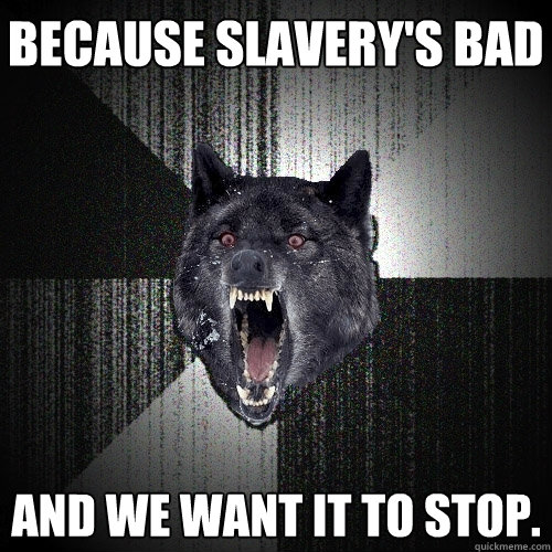 Because slavery's bad  and we want it to stop.   Insanity Wolf