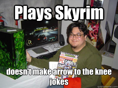 Plays Skyrim doesn't make arrow to the knee jokes  Good Gamer Greg