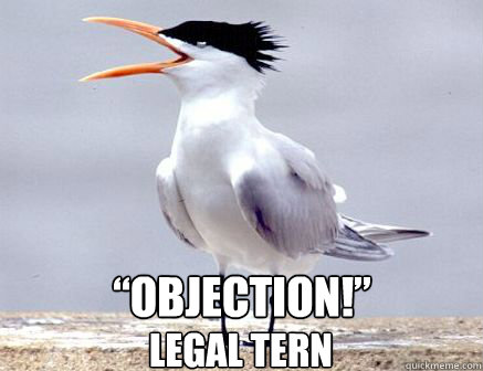 “Objection!” Legal Tern - “Objection!” Legal Tern  Misc