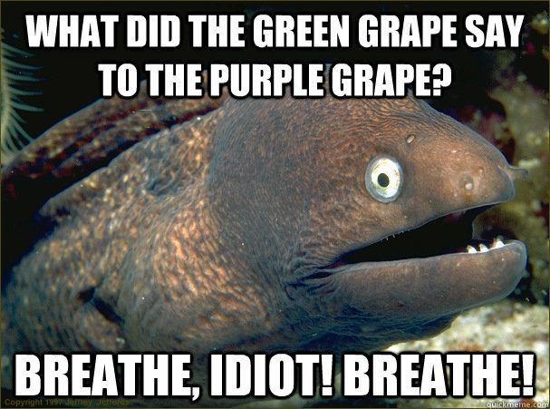 What did the green grape say to the purple grape? Breathe, idiot! BREATHE!  Bad Joke Eel