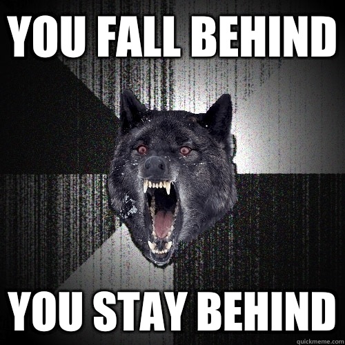You fall behind You stay behind  Insanity Wolf