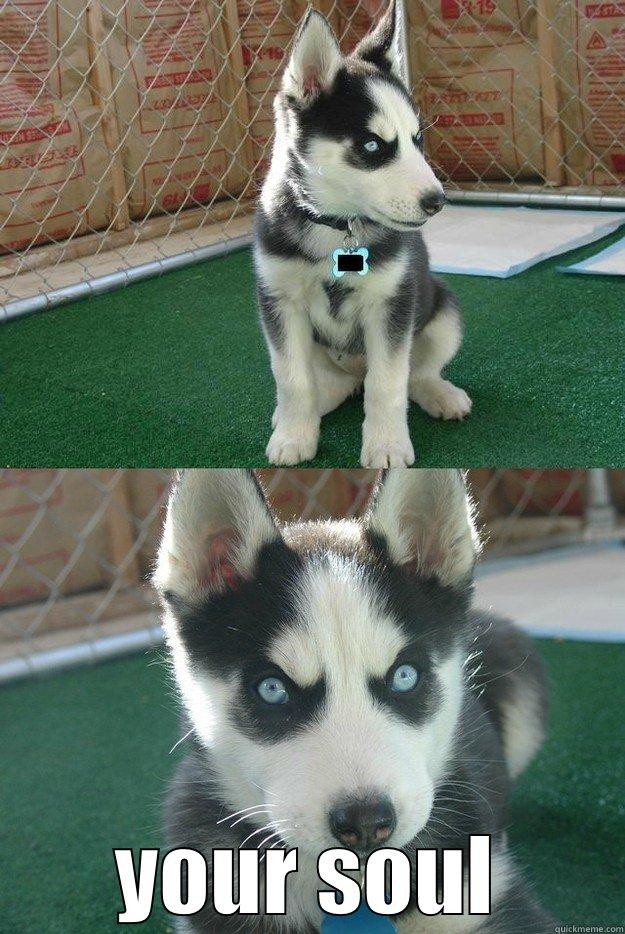  YOUR SOUL Insanity puppy