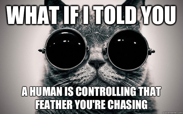 What if i told you A human is controlling that feather you're chasing   Morpheus Cat Facts