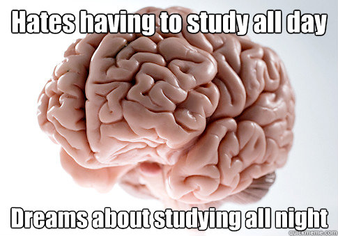 Hates having to study all day Dreams about studying all night   Scumbag Brain