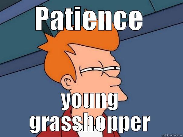 Patience Grasshopper - PATIENCE YOUNG GRASSHOPPER Futurama Fry