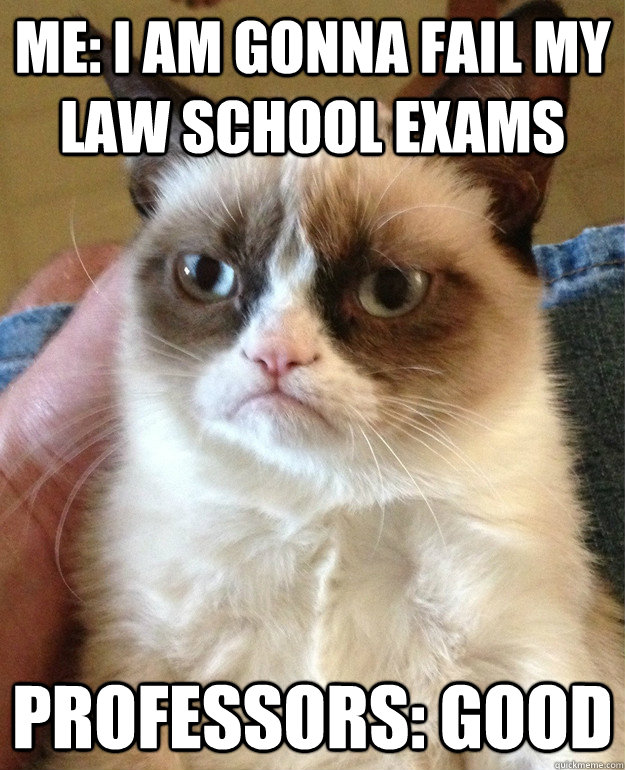 Me: I am Gonna Fail my Law School Exams Professors: Good  Grumpy Cat