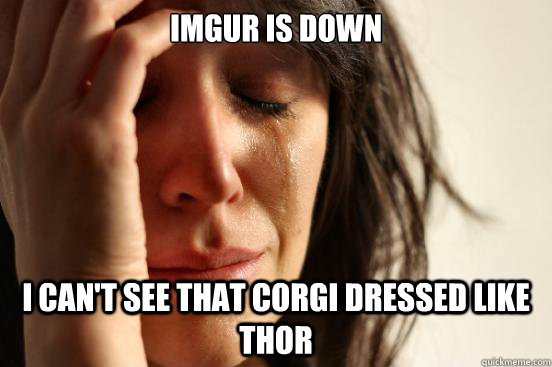 IMGUR IS DOWN I CAN'T SEE THAT CORGI DRESSED LIKE THOR  First World Problems