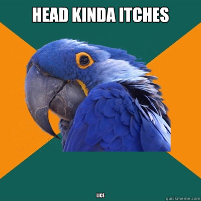 HEAD KINDA ITCHES LICE    Paranoid Parrot