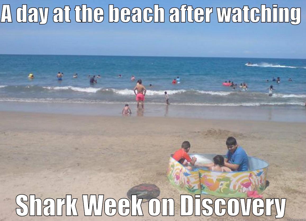 A DAY AT THE BEACH AFTER WATCHING  SHARK WEEK ON DISCOVERY Misc