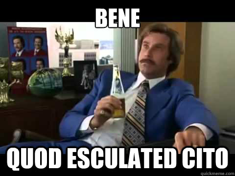 bene quod esculated cito - bene quod esculated cito  Well That Escalated Quickly