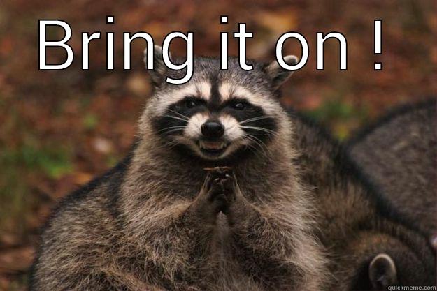 Bring it on ! - BRING IT ON !  Evil Plotting Raccoon