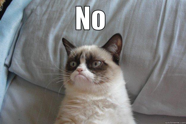 cat says no - NO  Grumpy Cat