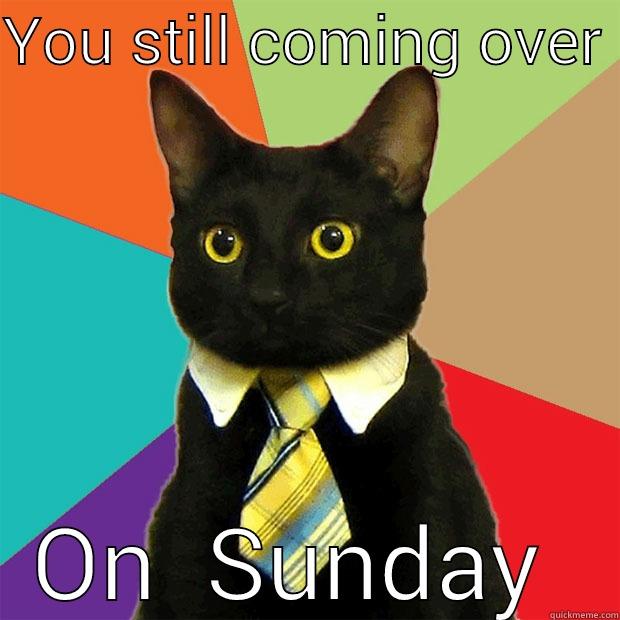 YOU STILL COMING OVER  ON  SUNDAY  Business Cat