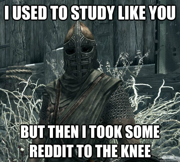 I used to study like you But then i took some Reddit to the knee  Skyrim Guard