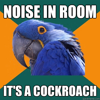 Noise in room it's a cockroach  Paranoid Parrot