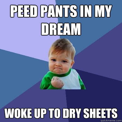 Peed pants in my dream woke up to dry sheets  Success Kid
