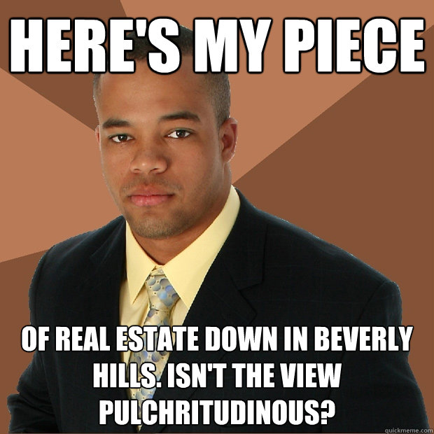 Here's my piece of real estate down in Beverly hills. Isn't the view pulchritudinous?  Successful Black Man