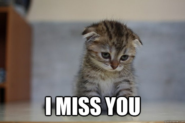  I miss you -  I miss you  Sad Kitten