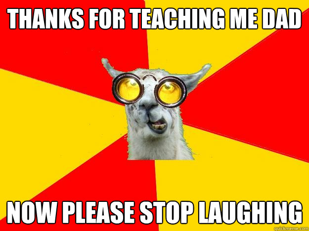 thanks for teaching me dad now please stop laughing  Learner Driver Llama
