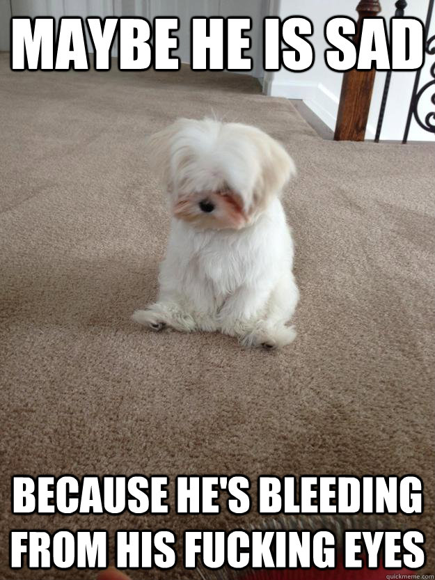 maybe he is sad because he's bleeding from his fucking eyes - maybe he is sad because he's bleeding from his fucking eyes  Misc