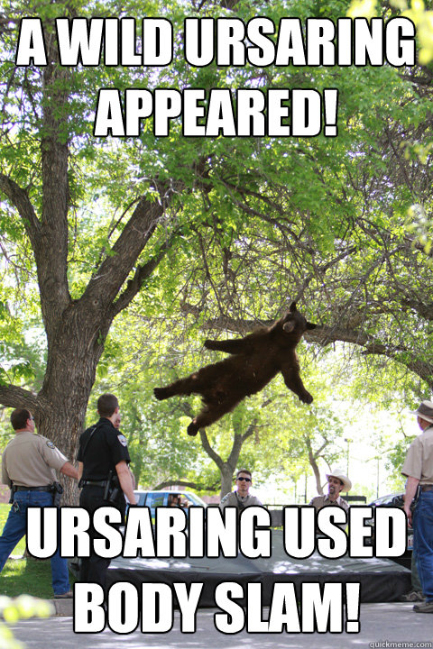 A wild Ursaring appeared! Ursaring used body slam!  Boulder Bear
