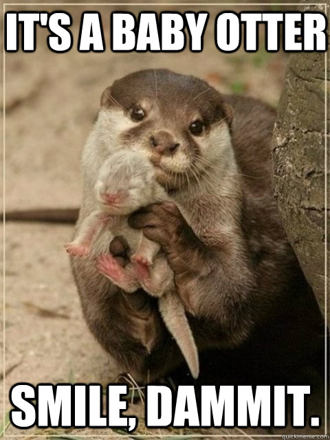 it's a baby otter smile, dammit. - it's a baby otter smile, dammit.  BE HAPPY