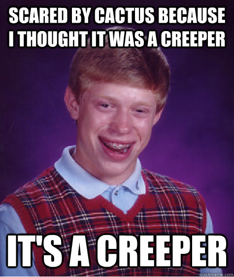 scared by cactus because i thought it was a creeper it's a creeper  Bad Luck Brian