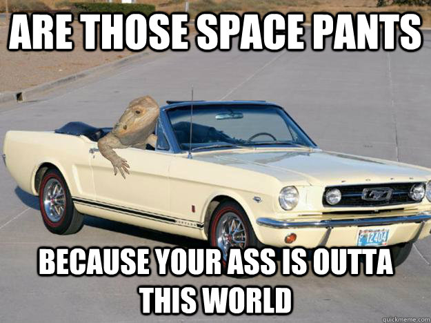 ARE THOSE SPACE PANTS BECAUSE YOUR ASS IS OUTTA THIS WORLD  Pickup Dragon