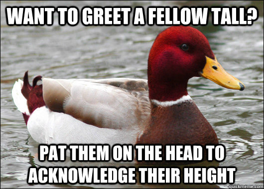 Want to greet a fellow tall? pat them on the head to acknowledge their height  Malicious Advice Mallard