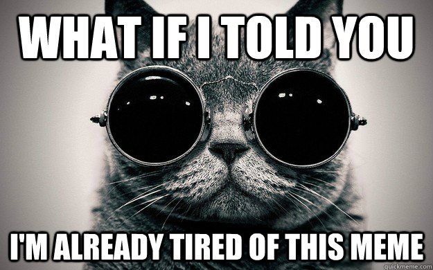 what if I told you I'm already tired of this meme  Morpheus Cat Facts