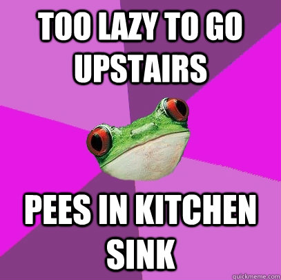 Too lazy to go upstairs Pees in kitchen sink  Foul Bachelorette Frog
