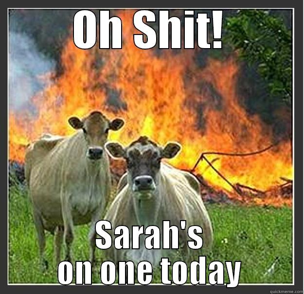 having a bad day  - OH SHIT! SARAH'S ON ONE TODAY Evil cows