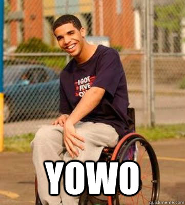  YOWO  Wheelchair Drake