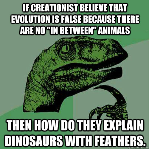 If Creationist believe that evolution is false because there are no 